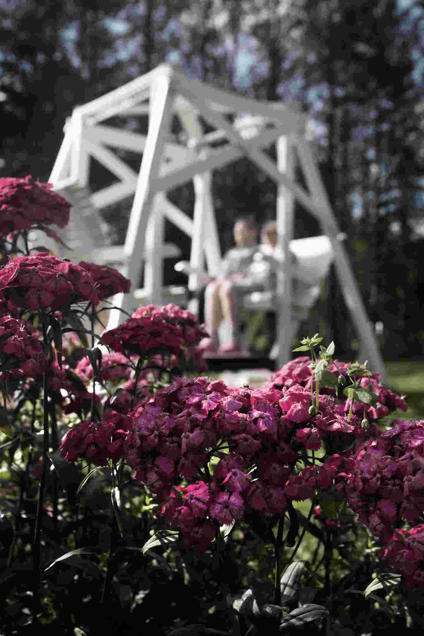 Purple flowers and two people sitting on a yard swing.