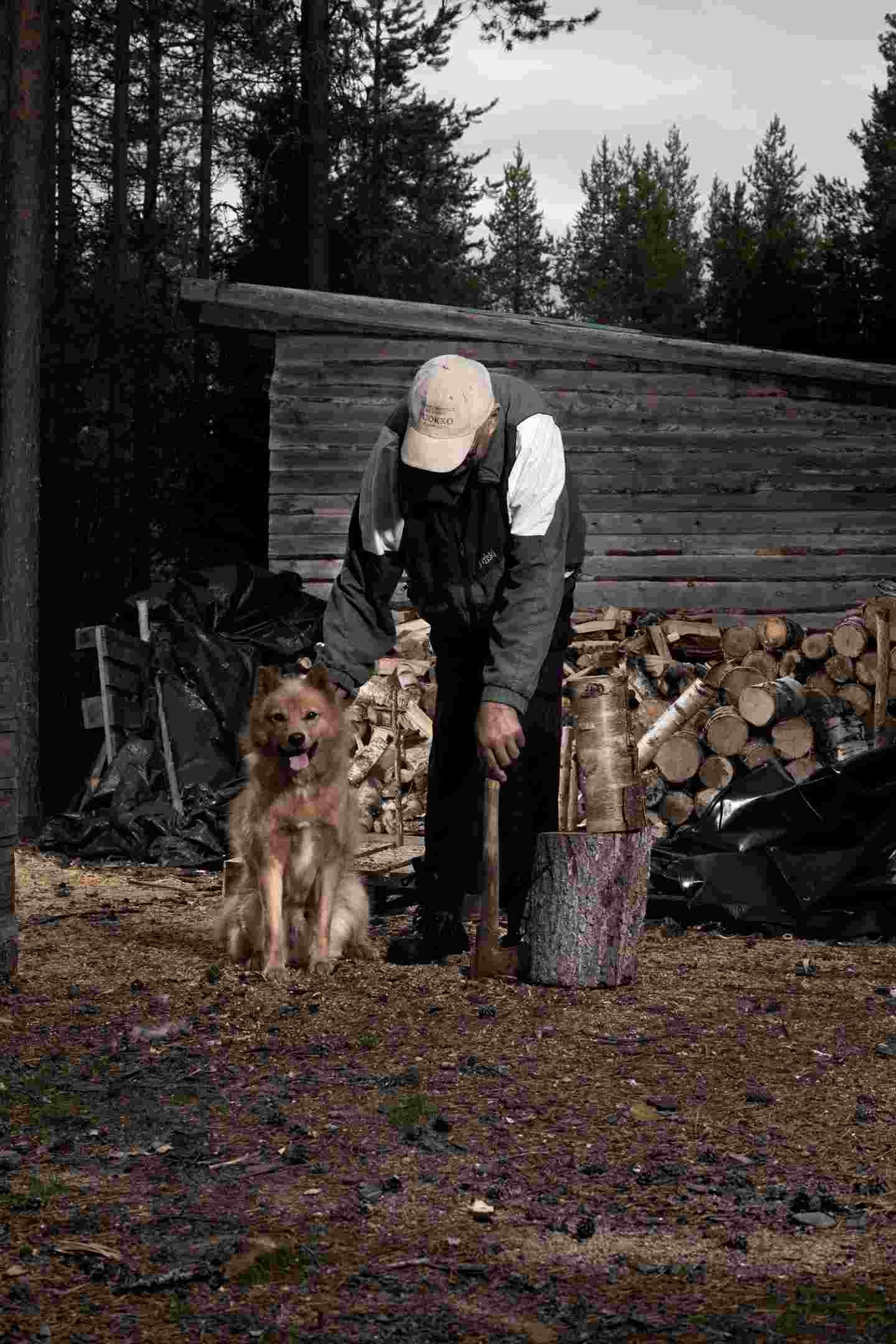 A person strokes a dog in front of a wooden shed.