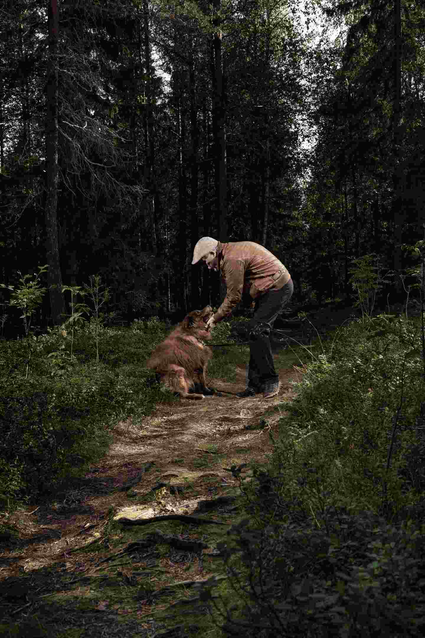 A person stroking a dog in a forest.