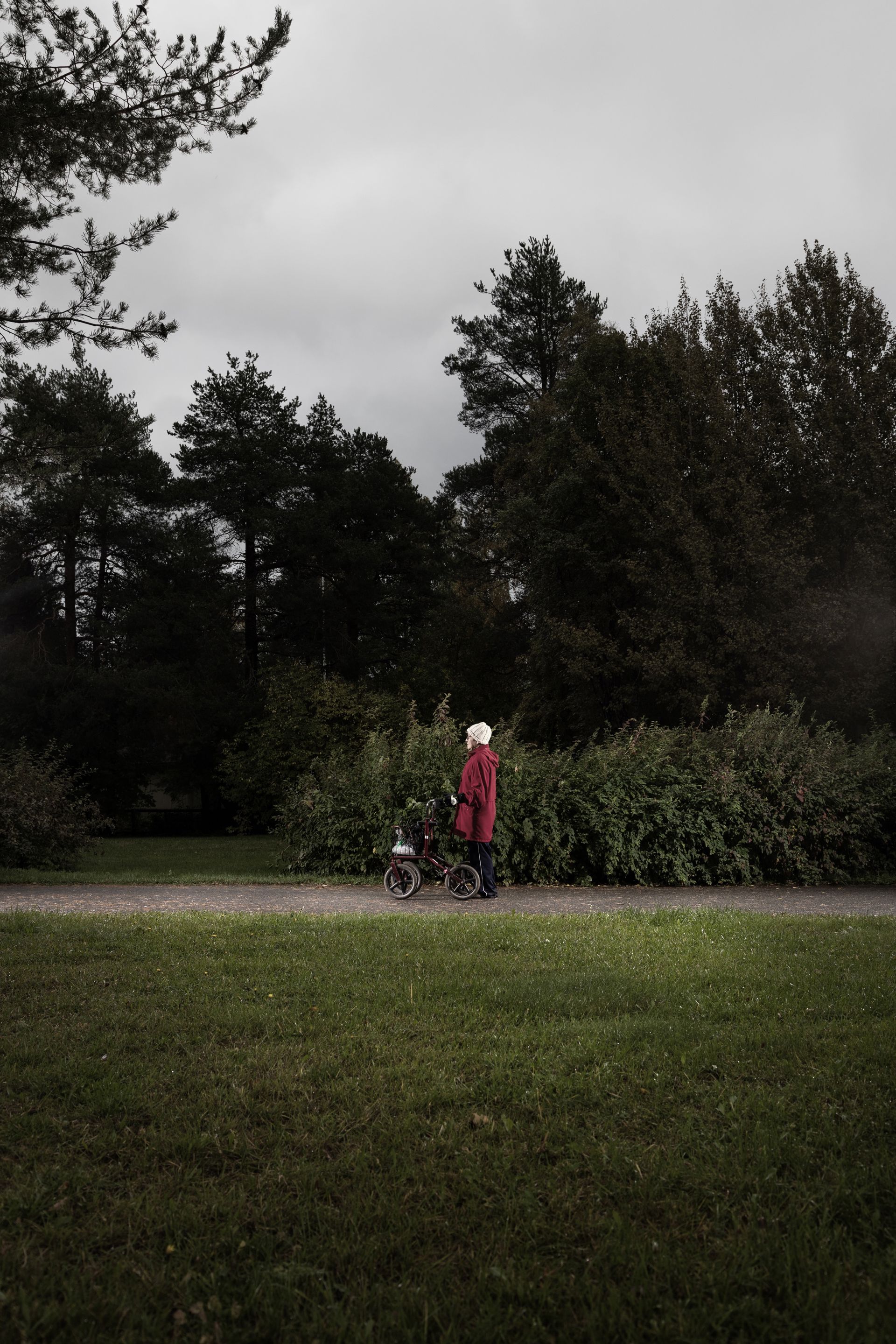 A person walks in the park, pushing a walker.