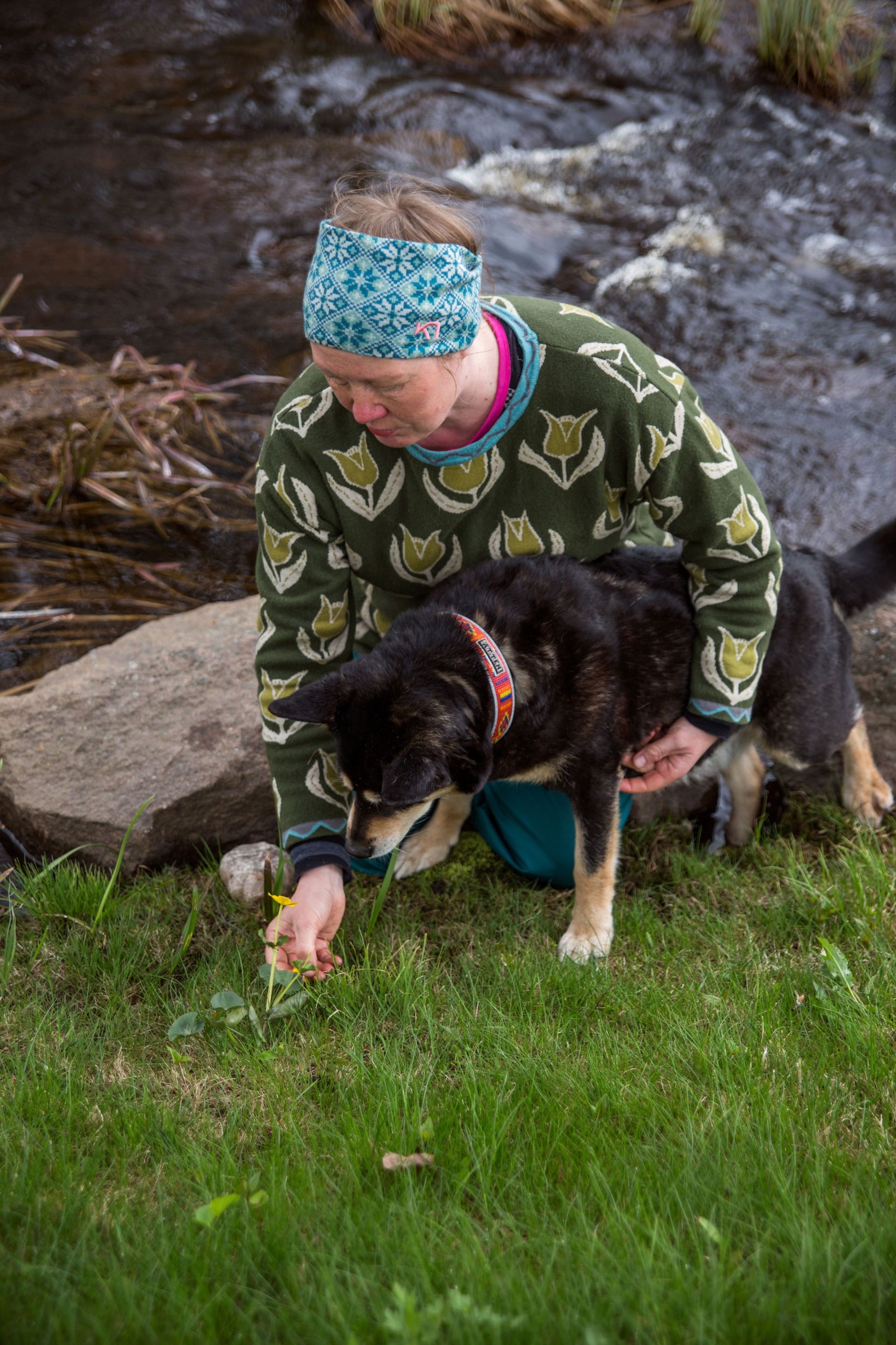 A person and a dog examine a flower.