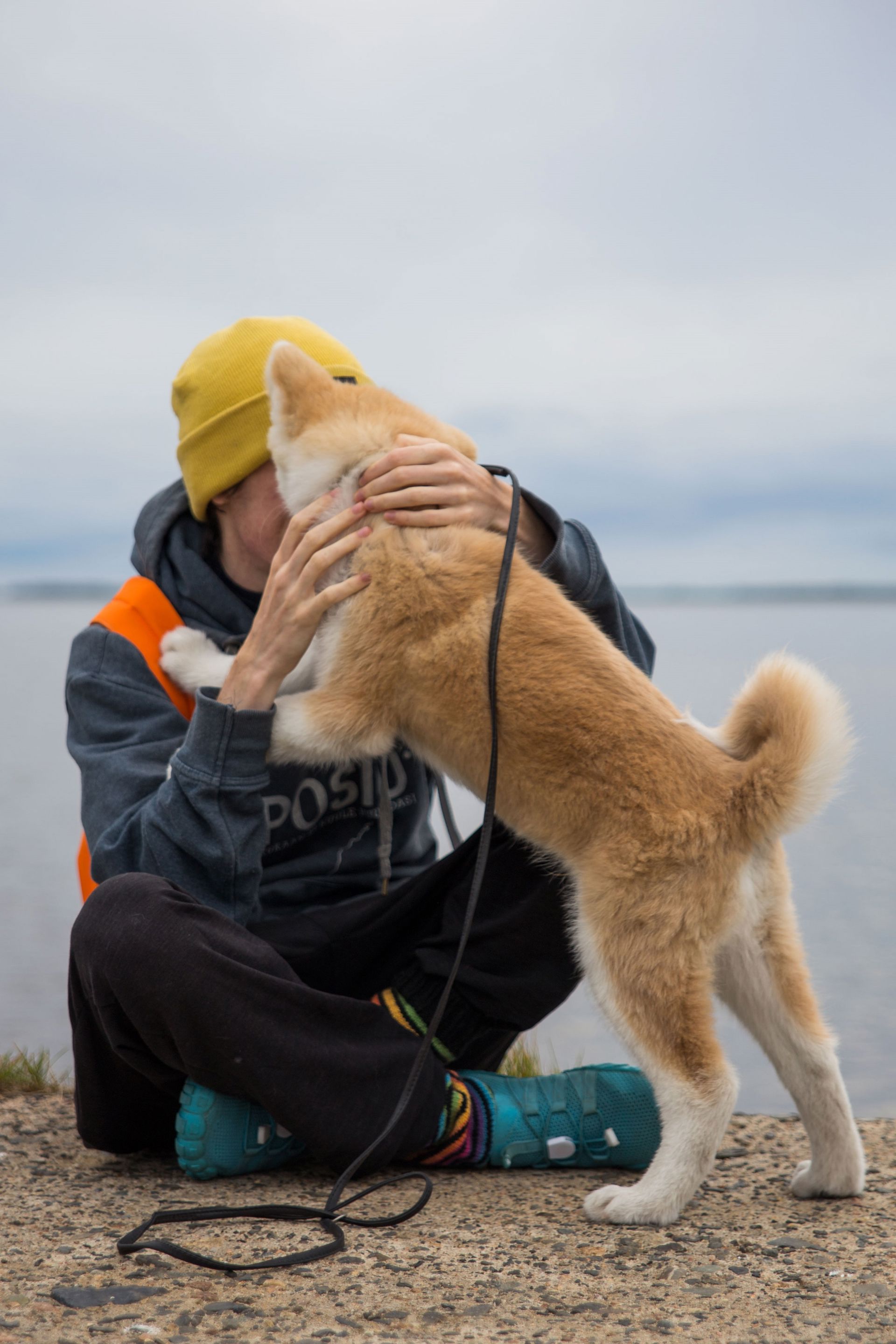 A person playing with a dog.