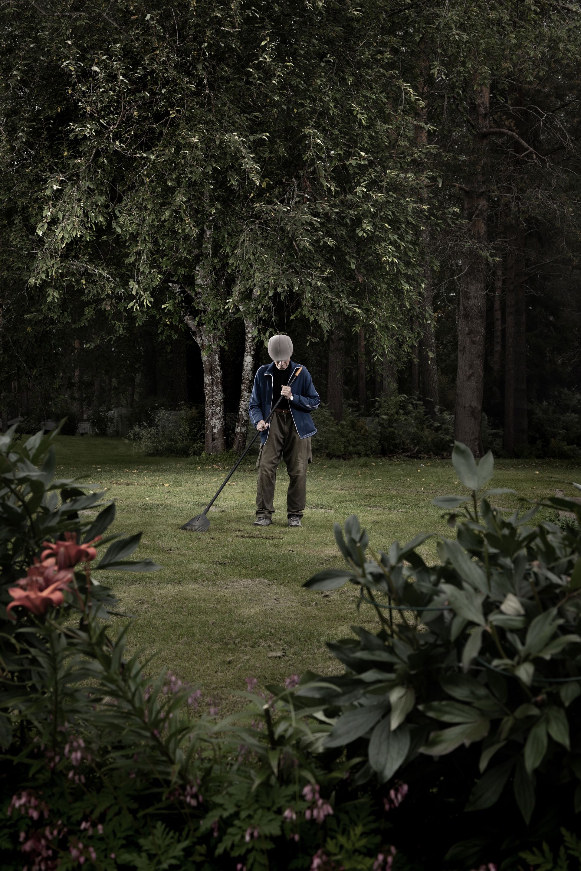 A person raking leaves in a yard.