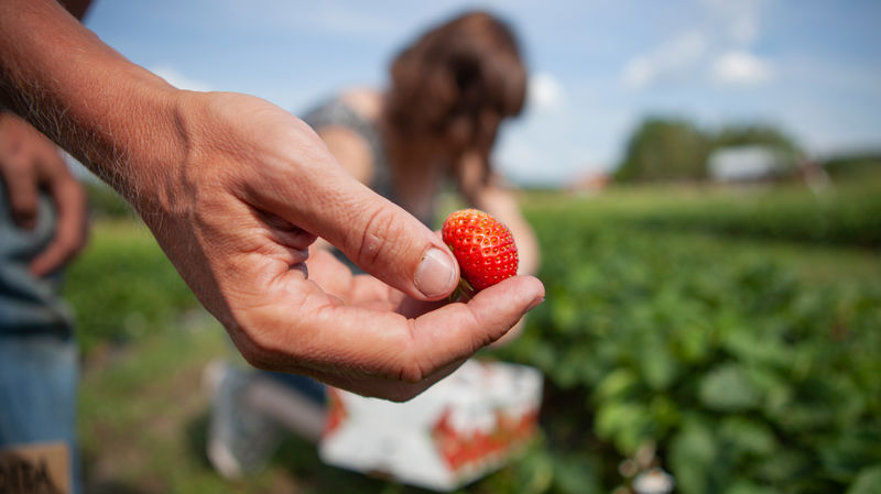How to prepare for hot weather
