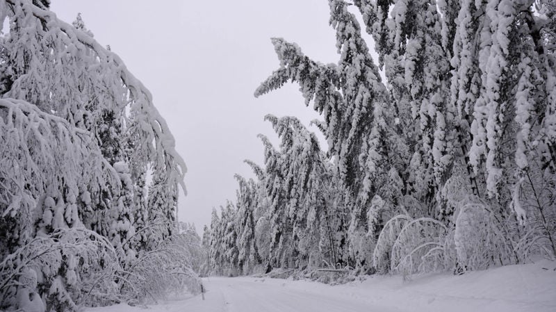 How to prepare for a power outage