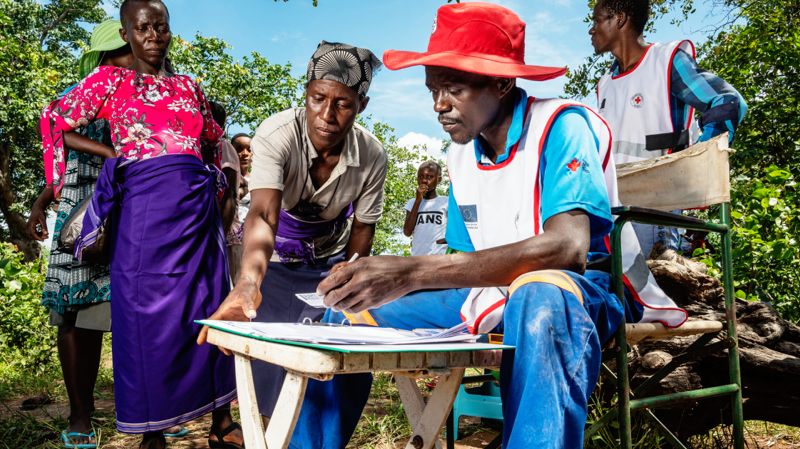 Themes of the international aid of the Finnish Red Cross